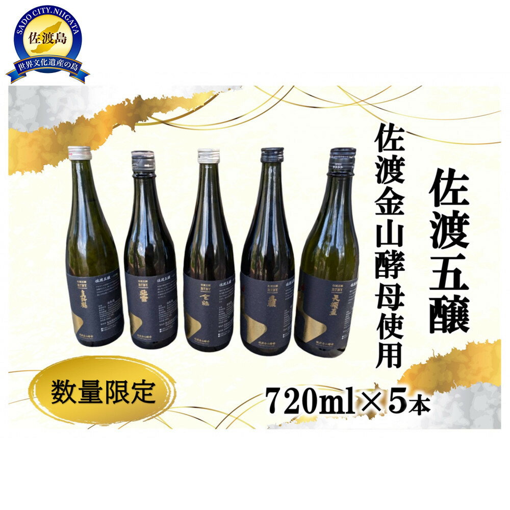 【ふるさと納税】佐渡の酒　佐渡五醸　佐渡金山酵母　720ml×5本 | お酒 さけ 人気 おすすめ 送料無料 ギフト