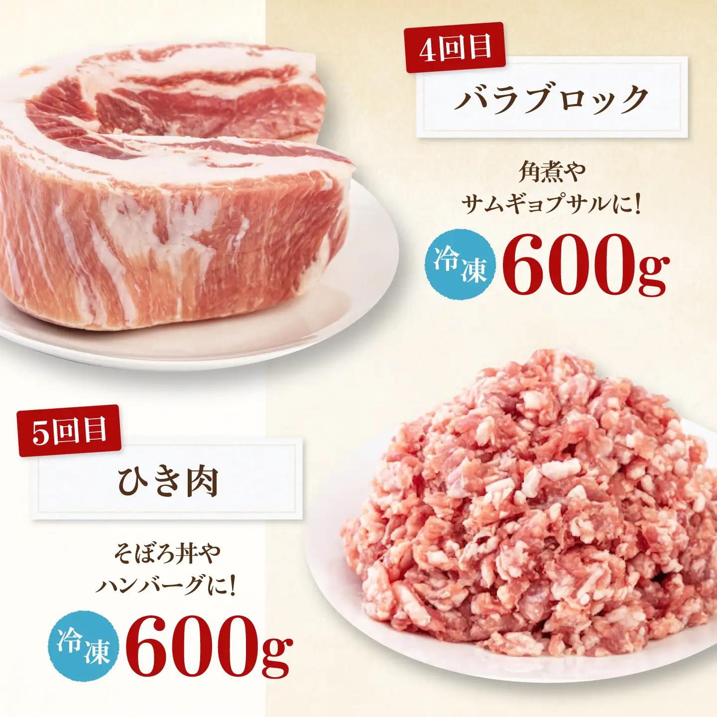 【全5回】 バラエティ定期便 2-3人前 豚肉 定期便 AJAP126