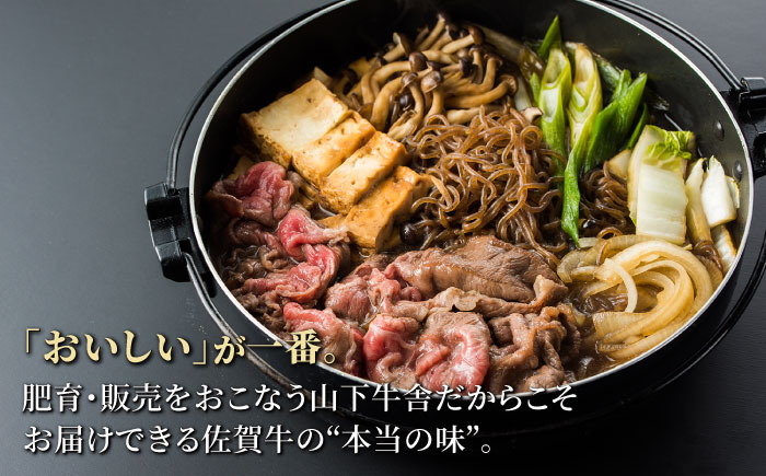 【全3回定期便】佐賀牛 肩ロース スライス 500g（すき焼き用）【山下牛舎】 [HAD078]