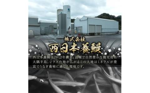 【土用の丑の日対応6/30入金まで】【無投薬にこだわったうなぎ】鹿児島県産きざみうなぎ蒲焼5袋【国産】