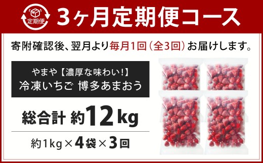 [ 定期1ヶ月毎3回 ] やまや 【 濃厚な味わい！ 】 冷凍いちご 博多あまおう 約4kg （ 1kg × 4袋 ） いちご 苺 イチゴ くだもの 果物 フルーツ あまおう 冷凍 冷凍苺 冷凍イチゴ 国産 福岡県産 ジャム スムージー ヨーグルト 果実 果肉 定期 定期配送
