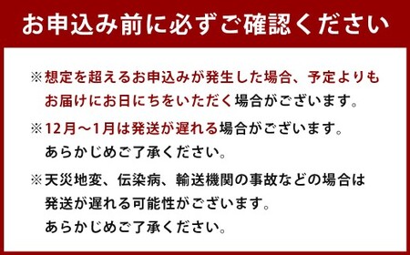 【14日以内発送】鶏 なんこつ つくね 肉 国産 おつまみ 加工品 