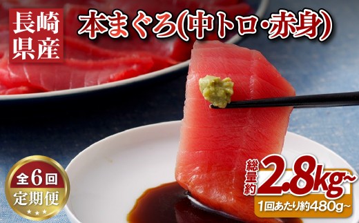 
                  A133p 【全6回定期便 総計2.88kg】長崎県産 本マグロ (中トロ・赤身)  計480g以上 海鮮丼のタレ付き【本家永松家】マグロ まぐろ 鮪 中トロ 中とろ 赤身 刺身 海鮮丼 定期便 頒布会
                