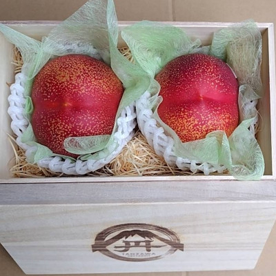 
            ＜お中元に贈る方続出＞邪気を払う神聖な果物比類なき絶対糖度シャトーネクタリン2025年7月上旬発送【1468765】
          