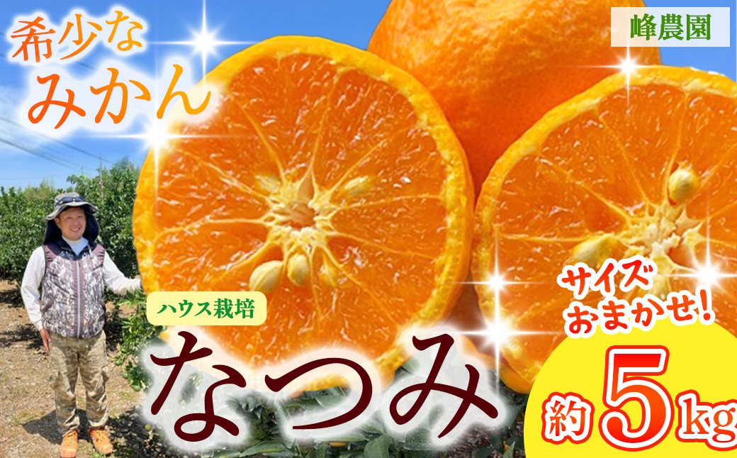 
                  峰農園のハウスなつみ 5kg （サイズおまかせ）【2027年3月下旬-4月下旬発送予定】 みかん ミカン 蜜柑 薄皮 マンダリン ポンカン 希少品種 太良みかん なつみ 柑橘 フルーツ 果物 完熟 甘い ハウス栽培 佐賀県 太良町 O165x2
                