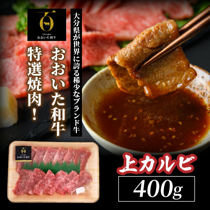 【ふるさと納税】【A4～A5等級】おおいた和牛特選焼肉！（上カルビ400g）