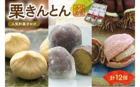 人気商品!! 栗きんとん詰合せ12個入 [秋季限定] 信玄堂 【2027年1月お届け】 F4N-2323