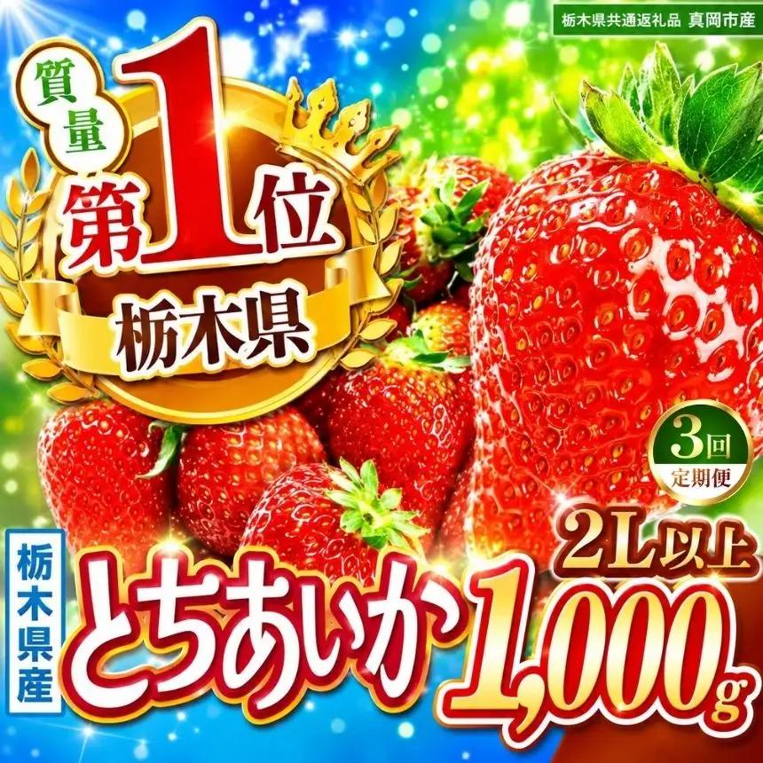 【先行予約】【栃木県共通返礼品】【定期3回】とちあいか2L以上 約1kg | 栃木県 那珂川町 送料無料