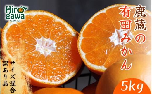 鹿蔵の 有田 みかん 訳あり 5kg 光センサー 選果 / 温州みかん 有田みかん 甘い 家庭用 和歌山 柑橘 ※11月より順次発送予定 ※北海道・沖縄・離島への配送不可【ikd004-cm-5-nov-PR】