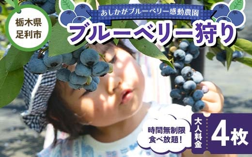 ブルーベリー狩り 時間無制限食べ放題 大人料金4枚 体験 イベント 栃木県足利市 F7Z-1349