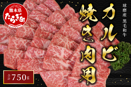 【順次発送】球磨産 黒毛和牛 カルビ 焼き肉 用 750g 前ハラ かいの身 友バラ【 大人気黒毛和牛 人気黒毛和牛 和牛 牛肉 焼肉 焼き肉 カルビ焼肉 黒毛和牛焼肉 和牛 カルビ 食べ比べ 国産 旨味たっぷり 焼肉 JA 】 011-0003