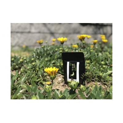 ふるさと納税 太良町 太良の桑青汁 1セット　L116
