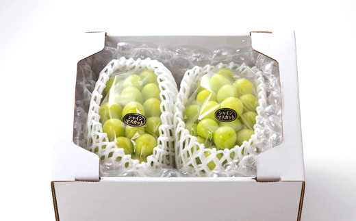 1065.【先行受付】特選大粒シャインマスカット2～4房(10月初旬～12月中旬頃発送予定)