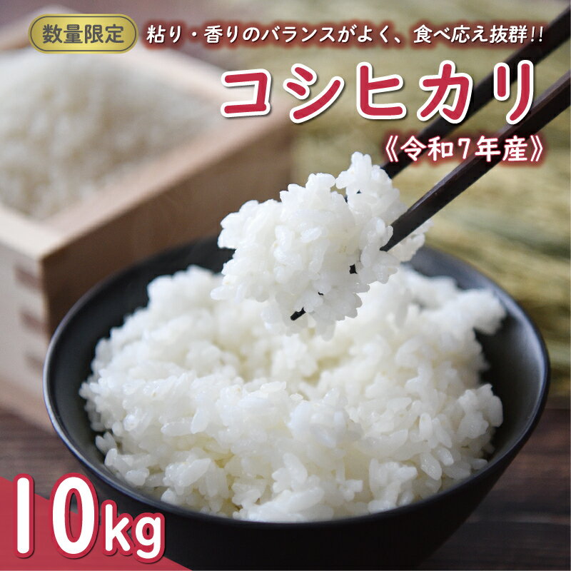 【ふるさと納税】 先行予約 新米 令和7年産 コシヒカリ 10kg 24000円 お米 白米 精米 米 こめ 期間限定 数量限定 特産品 令和7年度産 2025年産 人気 ブランド もっちり 粘り 甘み おいしい おにぎり こしひかり 内祝い お祝い 贈答品 プレゼント ギフト 田中均 愛南町 愛媛県