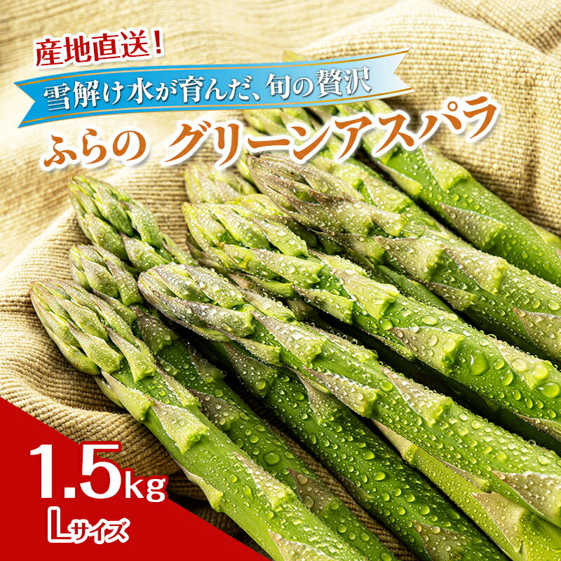 【ふるさと納税】2026年夏発送！ [JAふらの厳選]富良野産 グリーンアスパラ Lサイズ 約1.5kg アスパラ 野菜 アスパラガス　お届け：2026年4月上旬～2026年5月下旬