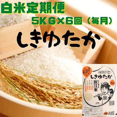 ふるさと納税 近江八幡市 【毎月定期便】しきゆたか　白米　5kg　全6回