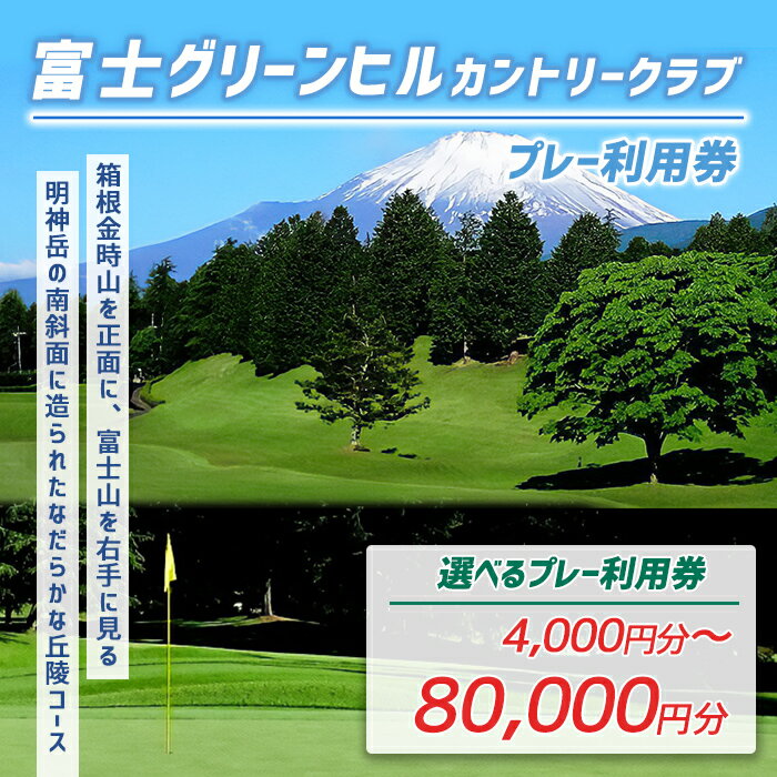 【ふるさと納税】ふるさと納税限定 富士グリーンヒルC・C ゴルフプレー利用券 ( 旧富士グリーンヒルG・C / 旧富士ヘルスC・C ) | 計4000円分〜 選べる 利用券 チケット【小山町内 ゴルフ場 共通利用券】 ゴルフ ゴルフプレー券 ゴルフ利用券 ふる納限定 限定