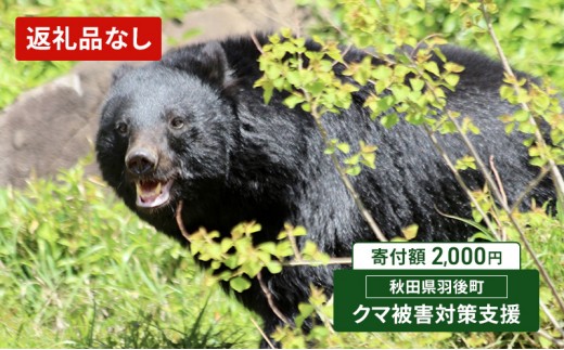 【返礼品なし】クマ被害対策支援（秋田県羽後町）2,000円 応援 支援 寄附のみ【羽後町ふるさと納税】