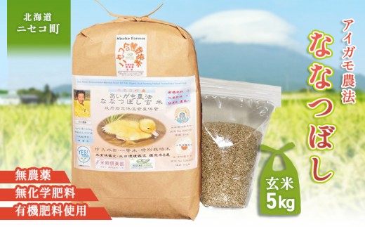 
                  《数量限定受付！令和7年産米》合鴨農法ななつぼし 【玄米】【有機肥料/無農薬・無化学肥料･備蓄用】 令和7年度米 5kg(1kg×5袋)　水田環境鑑定・米食味鑑定士鑑定米【Yesclean農法認定品】【3113802】
                