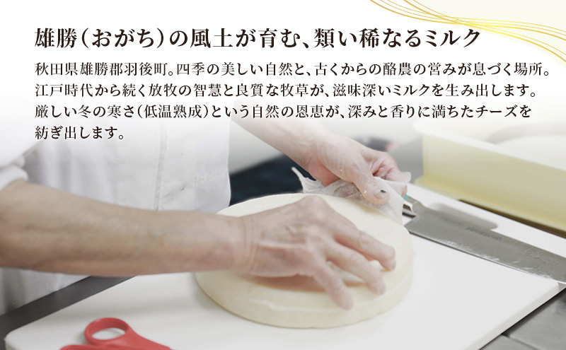 【2ヶ月毎全2回お届け】秋田 羽後 チーズアソート/お試し7種セット［明通りチーズ工房］モッツァレラ・カチョカバロ・スカモルツァ2種・カマンベールウォッシュ・アヴァ（オリジナル）2種【チーズ 詰合せ 