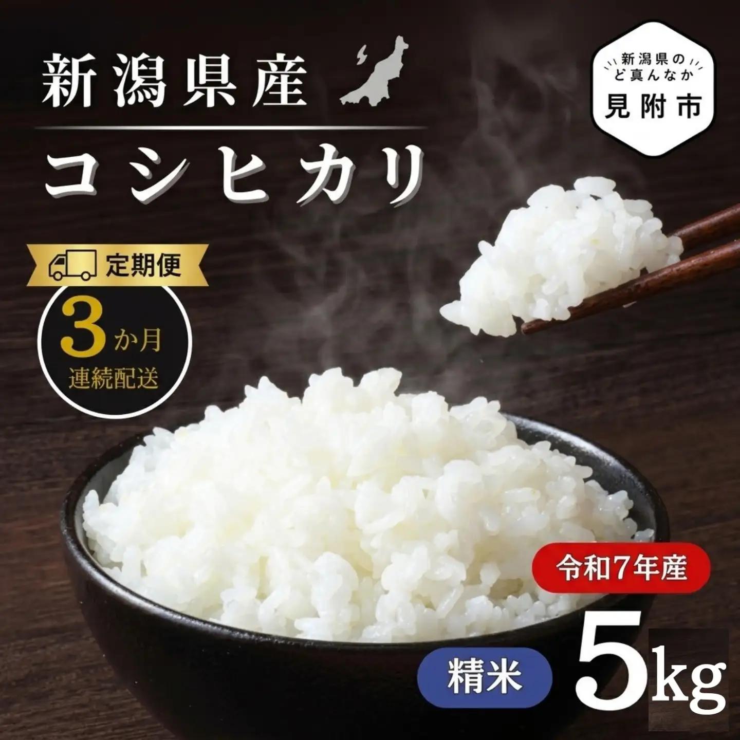 【3か月定期便】R7年産 新潟県産 コシヒカリ 5kg （精米） 新潟のど真ん中 見附市 こしひかり 米 お米 白米 国産 ごはん ご飯
