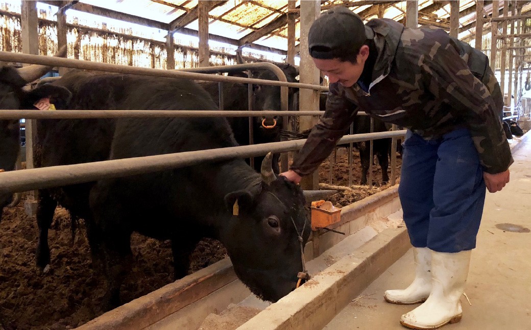 博多和牛100％ 贅沢本格手ごねハンバーグ