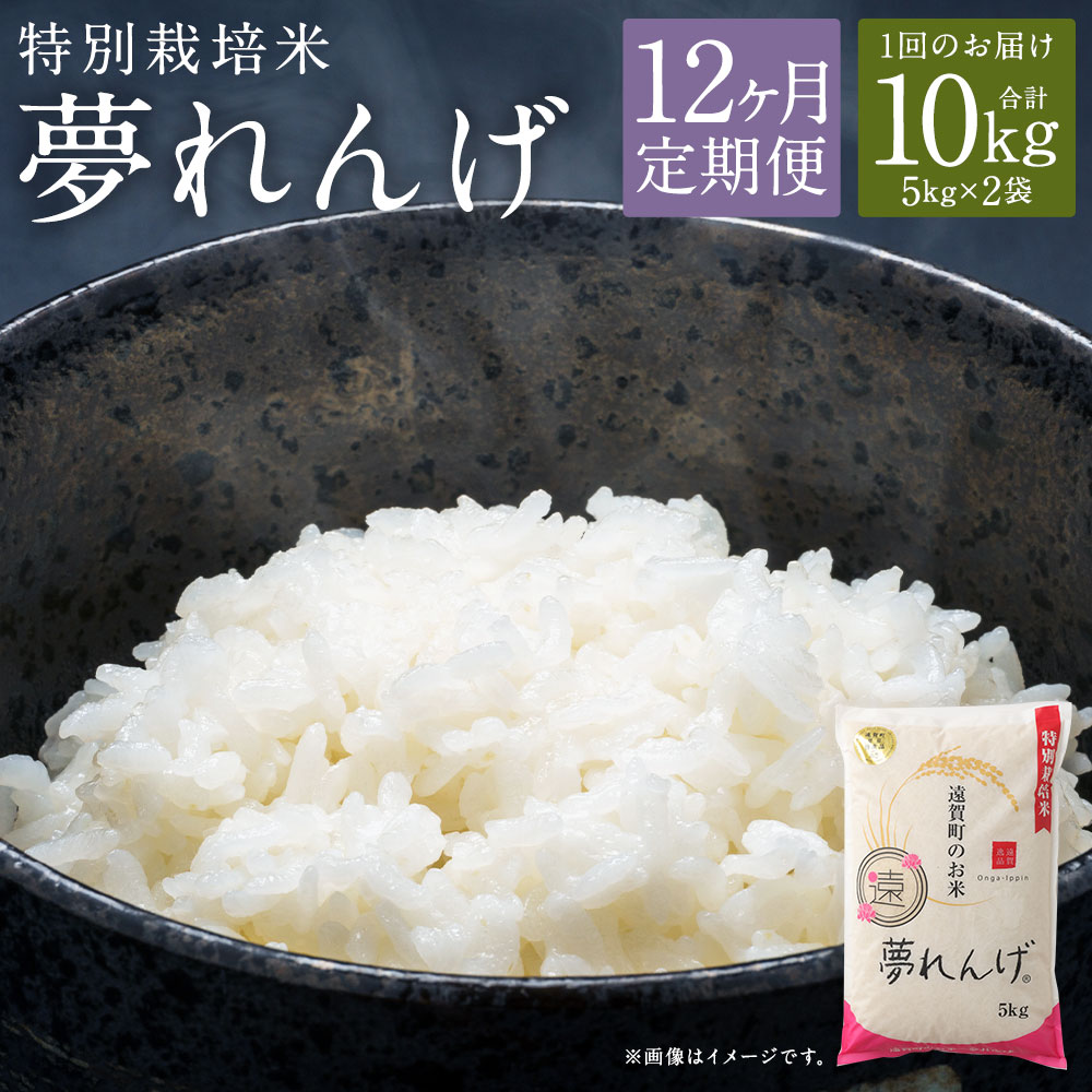 【ふるさと納税】【12ヶ月定期便】特別栽培米 夢れんげ 10kg 5kg×2袋 12回配送 合計120kg 定期便 夢つくし 元気つくし 精米 白米 お米 米 福岡 遠賀町産 九州産 国産 送料無料【2024年10月下旬発送開始】
