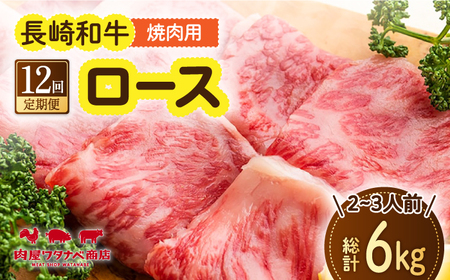 【12回定期便】 長崎和牛 焼肉 ロース 約500g [ECT020]  国産 長崎和牛 和牛 ロース ろーす 焼き肉 牛肉 冷凍 ソース付き ギフト お祝い 定期 定期便