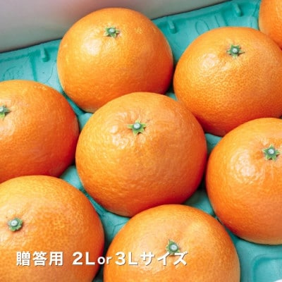 【まるでゼリー!ぷるぷる食感 冬ギフトに一番人気!】愛媛まどんな 贈答用約2.5kg【F20−52】【1595881】