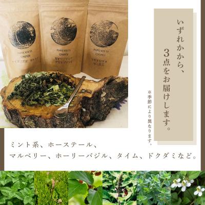 ふるさと納税 岩見沢市 【定期便】森のハーブティーセット(3点合計39g) ≪1ヶ月に1回 計3回のお届け≫ |  | 01