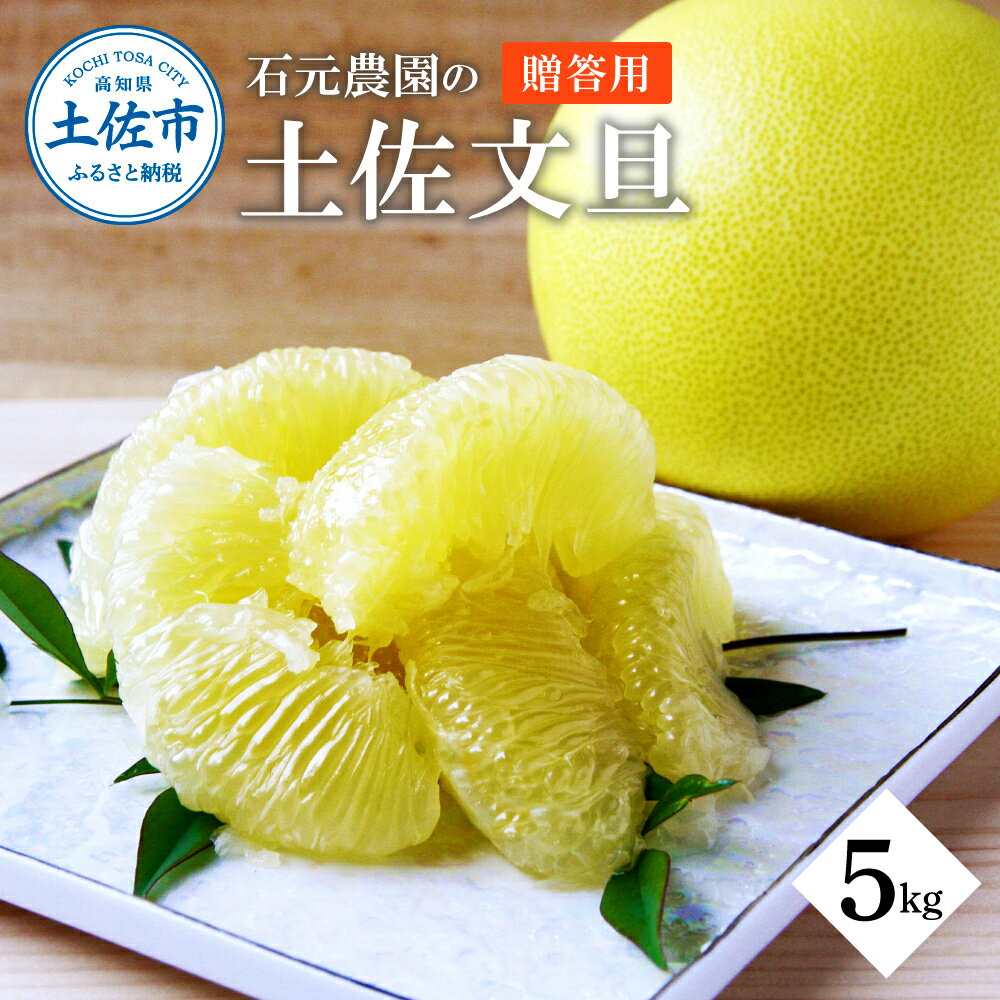 【ふるさと納税】文旦 贈答用 約5キロ（7～12玉） 期間限定 先行予約 土佐文旦 文旦 5kg ブンタン ぶんたん 果物 柑橘 フルーツ 高知県産 土佐市産 お取り寄せグルメ ギフト 贈答 贈り物 美味しい ふるさとのうぜい 故郷納税 16000円 高知 返礼品 石元農園