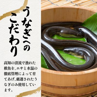 ふるさと納税 田野町 【四国一小さなまち】きざみうなぎ蒲焼約80g×6P計約480gカット済み蒲焼き かば焼き 鰻tano |  | 02