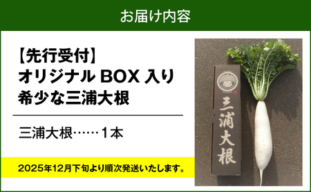 オリジナルBOX 入り 希少 な 三浦大根 1本 M109-003 大根 オリジナルボックス 幻 おでん ぶり大根 農業協同組合 ふるさと納税 神奈川県 三浦市 おすすめ ランキング プレゼント ギフ