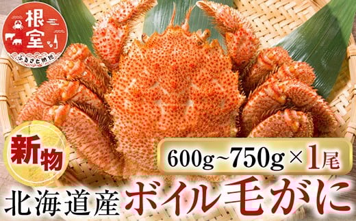 
            B-28124 根室海鮮市場<直送>ボイル毛がに600～750g×1尾
          