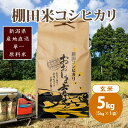 【ふるさと納税】極少量米 ： 数量限定 令和5年産 新潟県上越市大島区産 棚田米コシヒカリ 5kg (5kg×1) 玄米 こしひかり　お届け：ご注文後、2～3週間を目途に順次発送いたします。