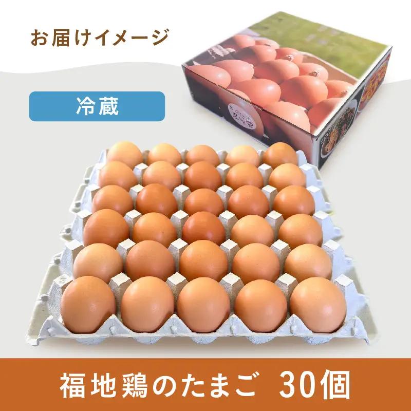 濃厚で甘くておいしい！ 福井ブランド「福地鶏」の卵 30個 ／ 卵 たまご 鶏卵 生卵 有精卵 高級 高級卵 福地鶏 鶏 平飼い 美味しい こだわり 卵かけご飯 料理 あわら市 福井県産 [aw036