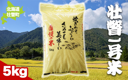 壮瞥1号米5㎏ 【 ふるさと納税 人気 おすすめ ランキング 北海道 壮瞥 米 白米 精米 自家精米 希少 ご飯 おにぎり おむすび 丼 贈り物 贈物 贈答 ギフト 大容量 詰合せ セット 北海道 壮瞥町 送料無料 】 SBTA033