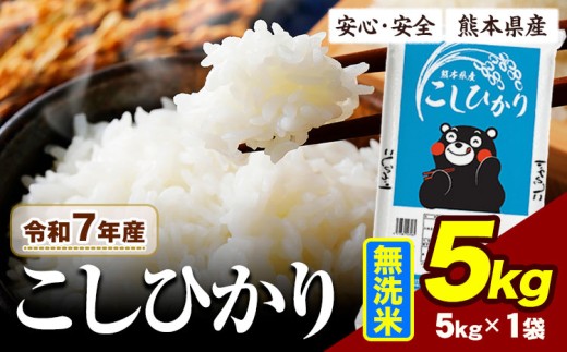 令和7年産 無洗米 こしひかり 5kg 《7-14日以内に出荷予定(土日祝除く)》令和7年産 熊本県産 ふるさと納税 無洗米  ひの 米 こめ ふるさとのうぜい コシヒカリ コメ お米 おこめ
