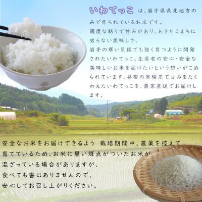 ふるさと納税 岩手町 令和7年産岩手町産いわてっこ 精米　10kg |  | 01