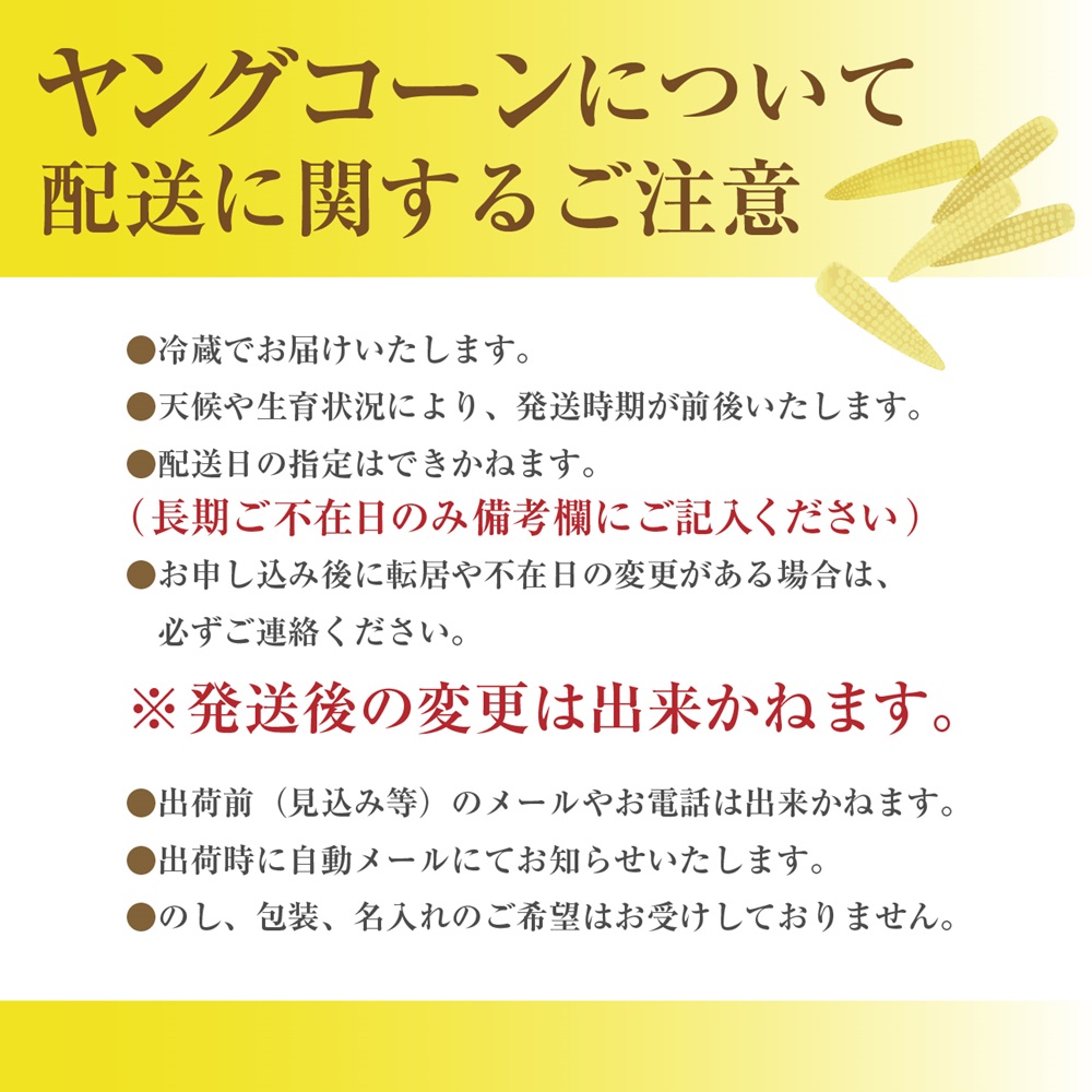 【2025年5月中旬から発送】「ヤングコーン」25～35本入り 2kg箱 株式会社アグリ甲斐（山梨県市川三郷町産） [5839-2217]