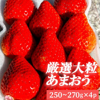 【ふるさと納税】厳選 大粒 あまおう 4パック いちご 3LA2