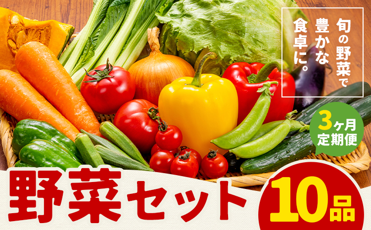 【定期便】 野菜 10品程度 計3回【メロンドーム】 定期便 3ヶ月お届け 詰め合わせ セット 国産 九州産 熊本県 菊池市 道の駅 送料無料《お申し込みの翌月から出荷》---003-1585---
