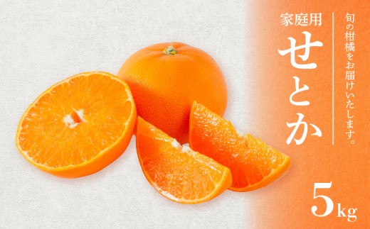 せとか 家庭用 5kg 【順次発送中】 | 訳あり みかん 柑橘 訳アリ みかん ワケアリ せとか 柑橘 みかん 果物  おすすめ 高級 愛媛三大柑橘（ 紅まどんな せとか 甘平 ) 人気 お取り寄せ グルメ ギフト ご当地 送料無料 愛媛県 松山市
