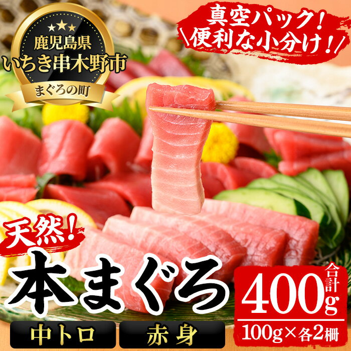 【ふるさと納税】天然本まぐろ 中トロ・赤身(合計400g・100g×各2柵) 100g柵でお届け！まぐろ 鮪 マグロ 魚介 刺し身 刺身 さしみ 海鮮丼 本まぐろ 本マグロ 中トロ 赤身 小分け 便利 冷凍 真空パック 新鮮【海鮮まぐろ家】