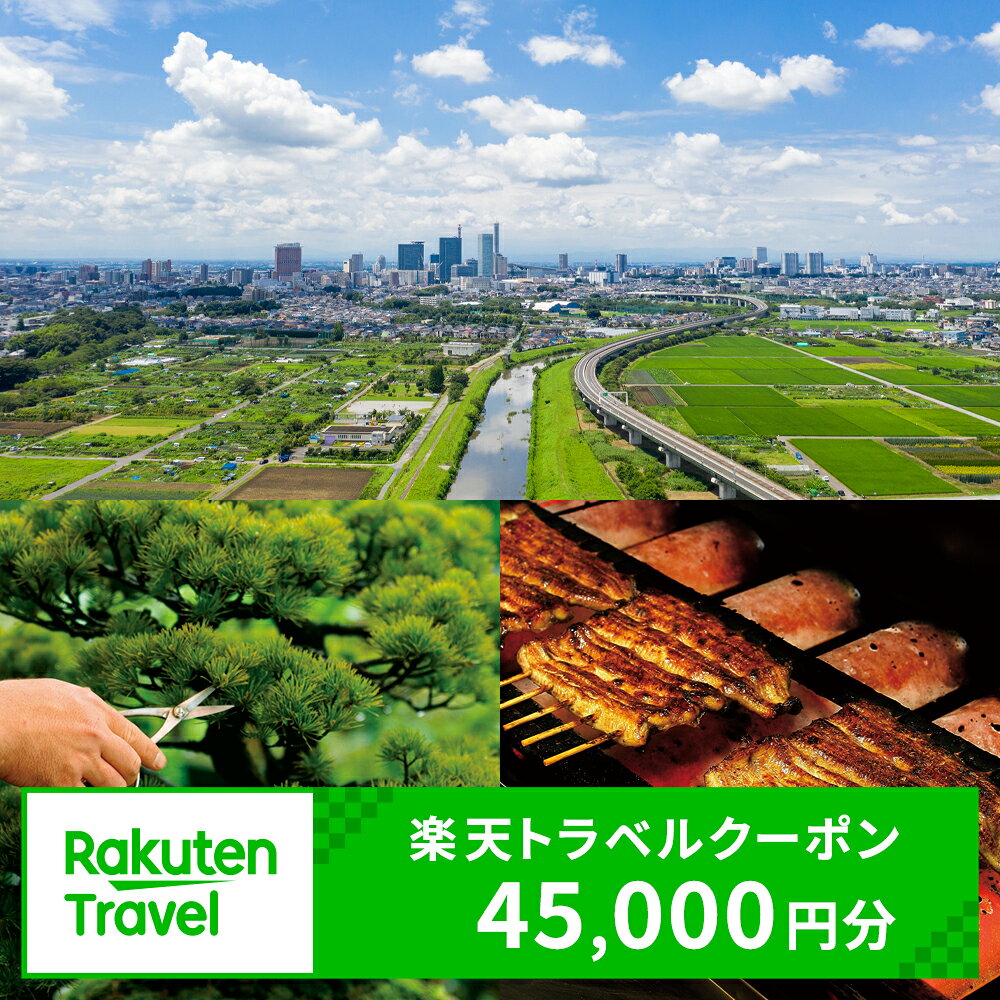 【ふるさと納税】埼玉県さいたま市の対象施設で使える楽天トラベルクーポン 寄付額150,000円