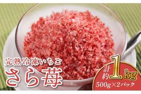 いちご 冷凍 1㎏ (500g×2パック)  完熟 冷凍 いちご 「さら苺」 1kg（500g×2パック） 園村苺園 熊本県産冷凍いちご 宇城市産冷凍いちご 九州産冷凍いちご 