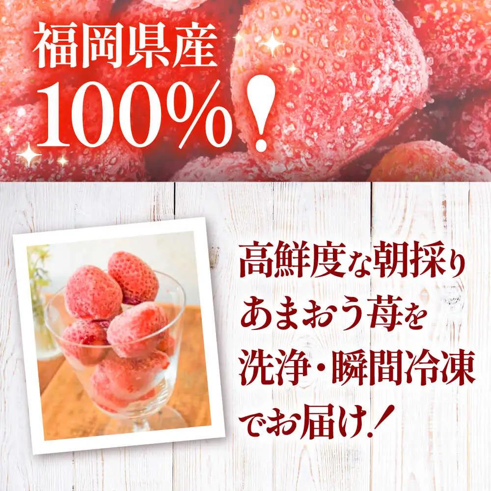 【訳あり】福岡県産 冷凍あまおう500g(250g×2個) VEG011 冷凍いちご  訳あり