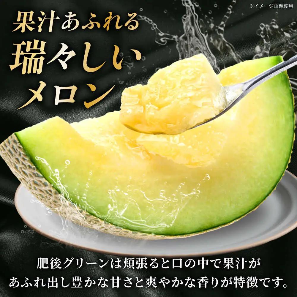 先行予約 肥後グリーンメロン約2kg(1玉)ZEM005
