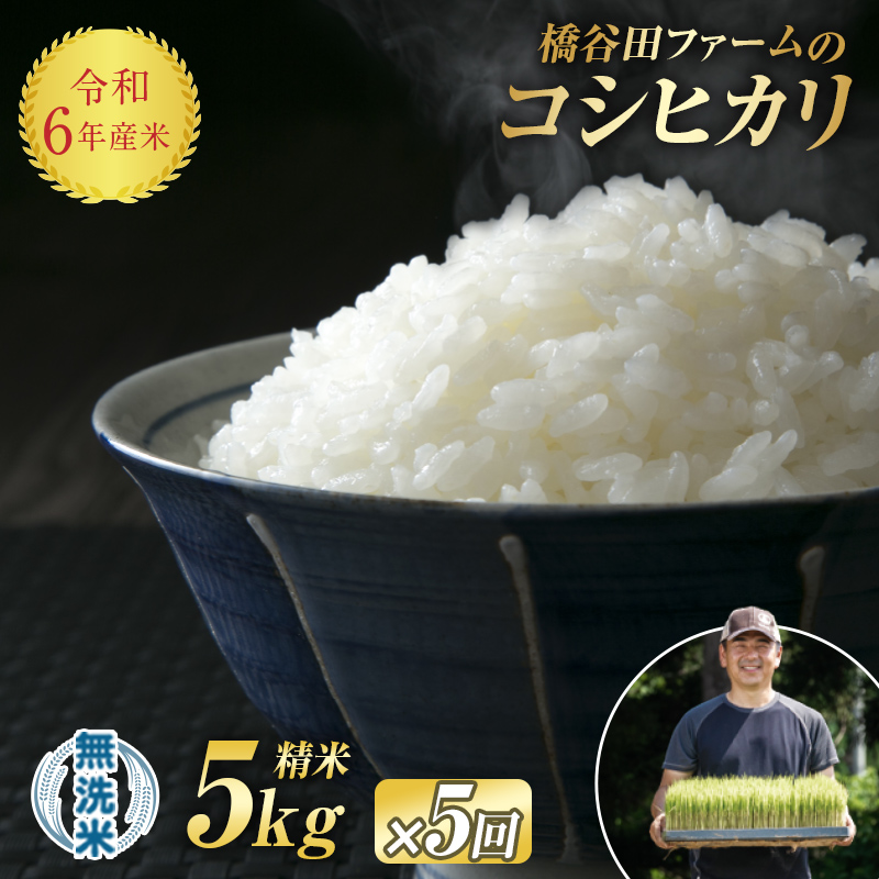 《定期便5ヶ月》減農薬・有機肥料栽培 西会津産米コシヒカリ 無洗米 5kg F4D-1215