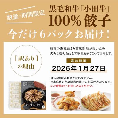 ふるさと納税 南さつま市 【訳あり】鹿児島県産黒毛和牛「小田牛」 牛肉100%使用の餃子72個(12個×6P) ぎょうざ 惣菜 |  | 01